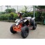 Электроквадроцикл El-Sport Teenager mini 800W (12Ah / 36V) миниатюра1