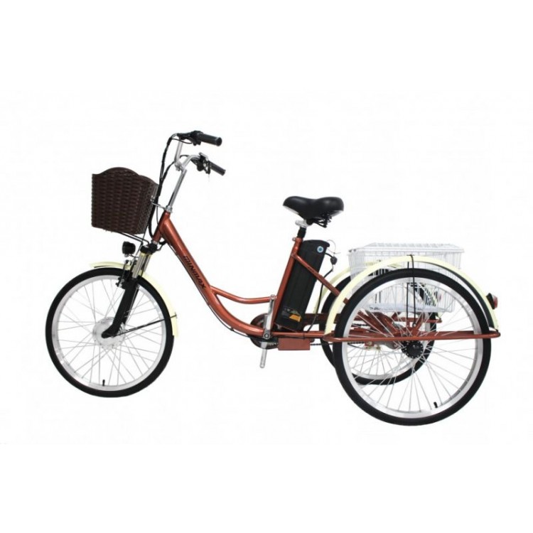 Электровелосипед GreenCamel Трайк-24 V2 (R24 250W 48V 12Ah) фото8