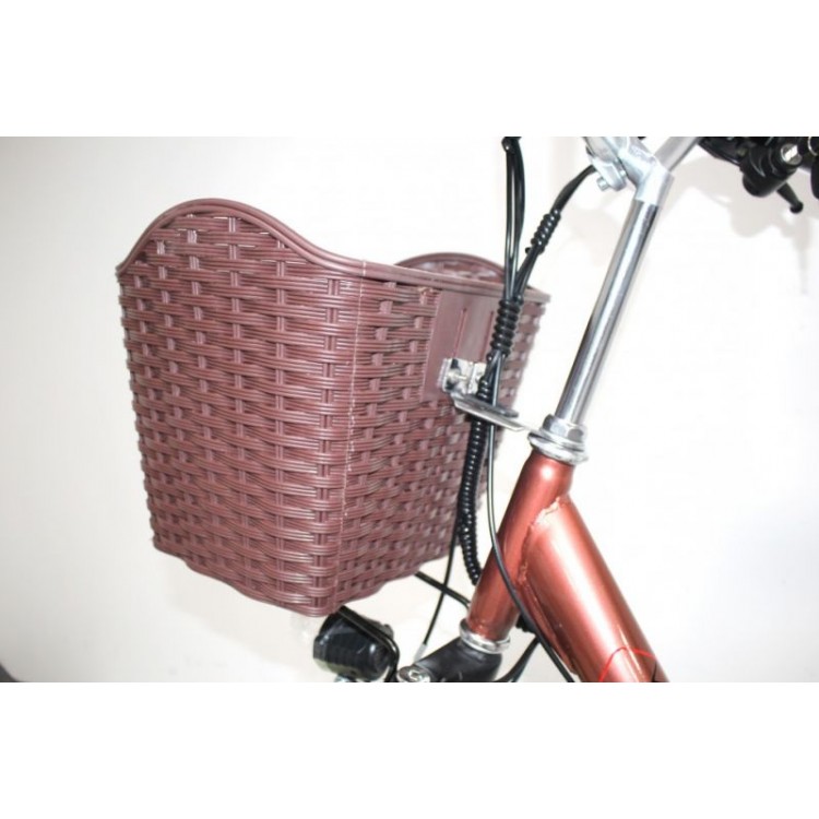 Электровелосипед GreenCamel Трайк-24 V2 (R24 250W 48V 12Ah) фото1