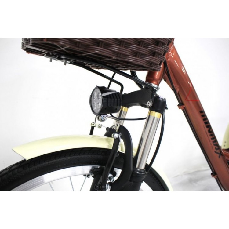 Электровелосипед GreenCamel Трайк-24 V2 (R24 250W 48V 12Ah) фото2