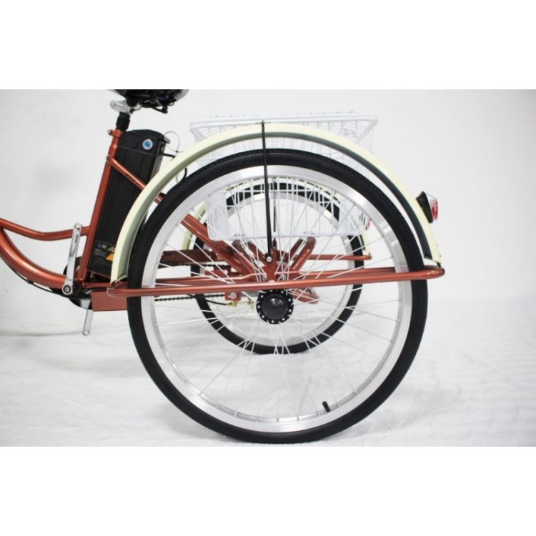 Электровелосипед GreenCamel Трайк-24 V2 (R24 250W 48V 12Ah) фото4
