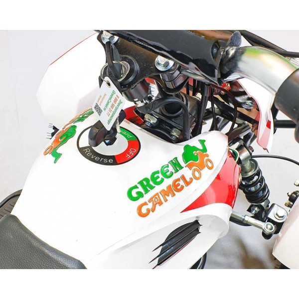 Электроквадроцикл GreenCamel Gobi K12 350W фото6