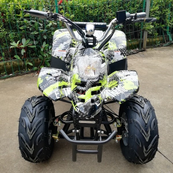 Электроквадроцикл GreenCamel Gobi K50 800W фото2